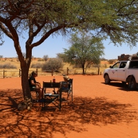 Road trip Namibie #4 : le désert du Kalahari 
