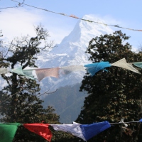 Népal: Trek Poon Hill et Balcon des Annapurnas avec enfant